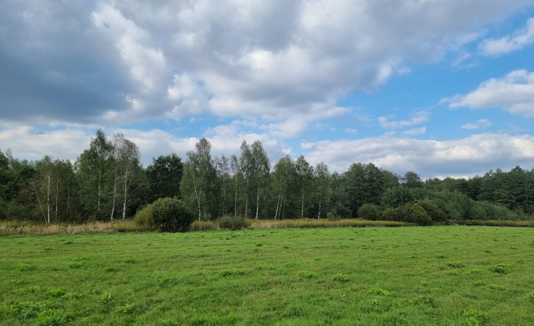 Działka inwestycyjna Czernichów 3,86 ha