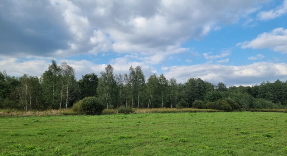 Działka inwestycyjna Czernichów 3,86 ha