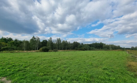 Działka inwestycyjna Czernichów 3,86 ha