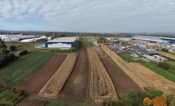 Twoja firma w Zakrzowie działka 64 ary pod usługi