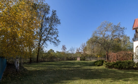 Salon z kuchnią, 8 sypialni, 443,70m2, garaż!