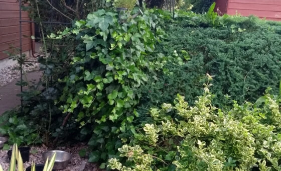 Wyjątkowa nieruchomość w sercu natury!