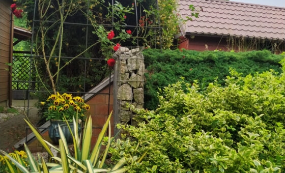 Wyjątkowa nieruchomość w sercu natury!