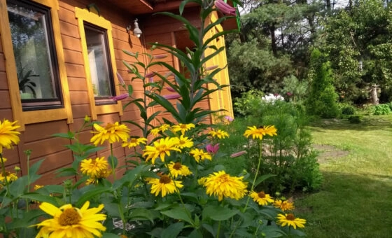 Wyjątkowa nieruchomość w sercu natury!