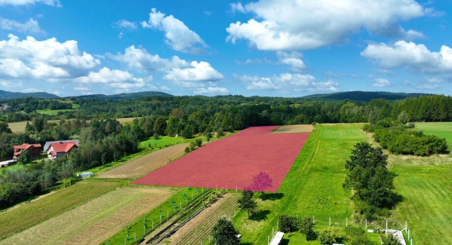 Malowniczo położona działka w Jasienicy Rosielnej