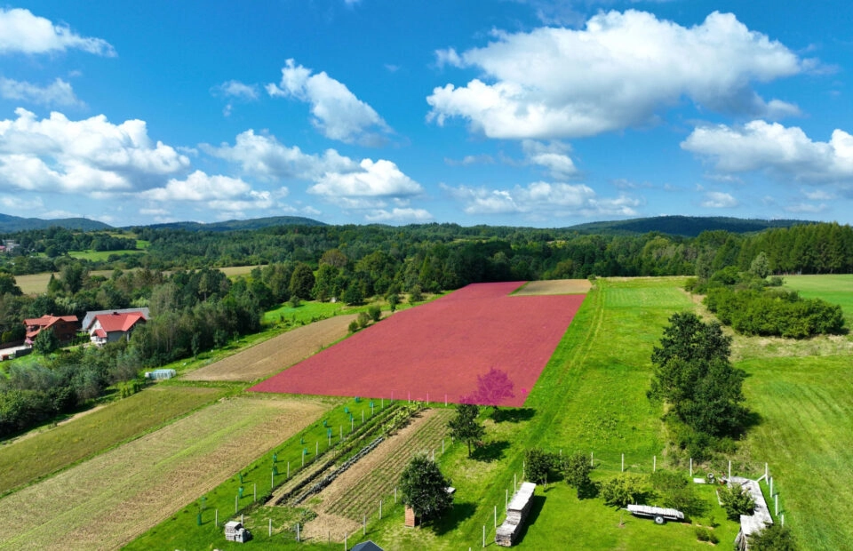 Malowniczo położona działka w Jasienicy Rosielnej