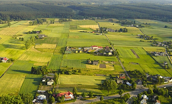 Roczna stopa zwrotu 20-25%!