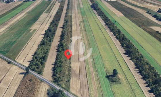 Działka rolna lub pod inwestycję 8790 m²