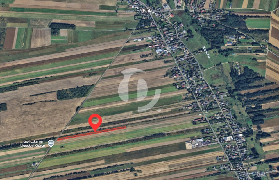 Działka rolna lub pod inwestycję 8790 m²