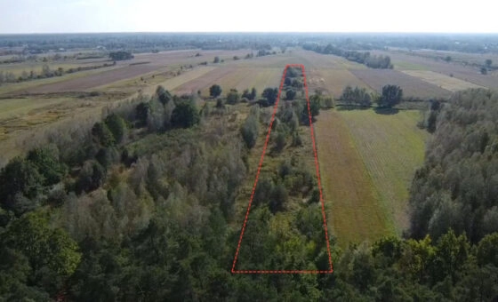 duża działka budowlana + działka rolna | Czosnów