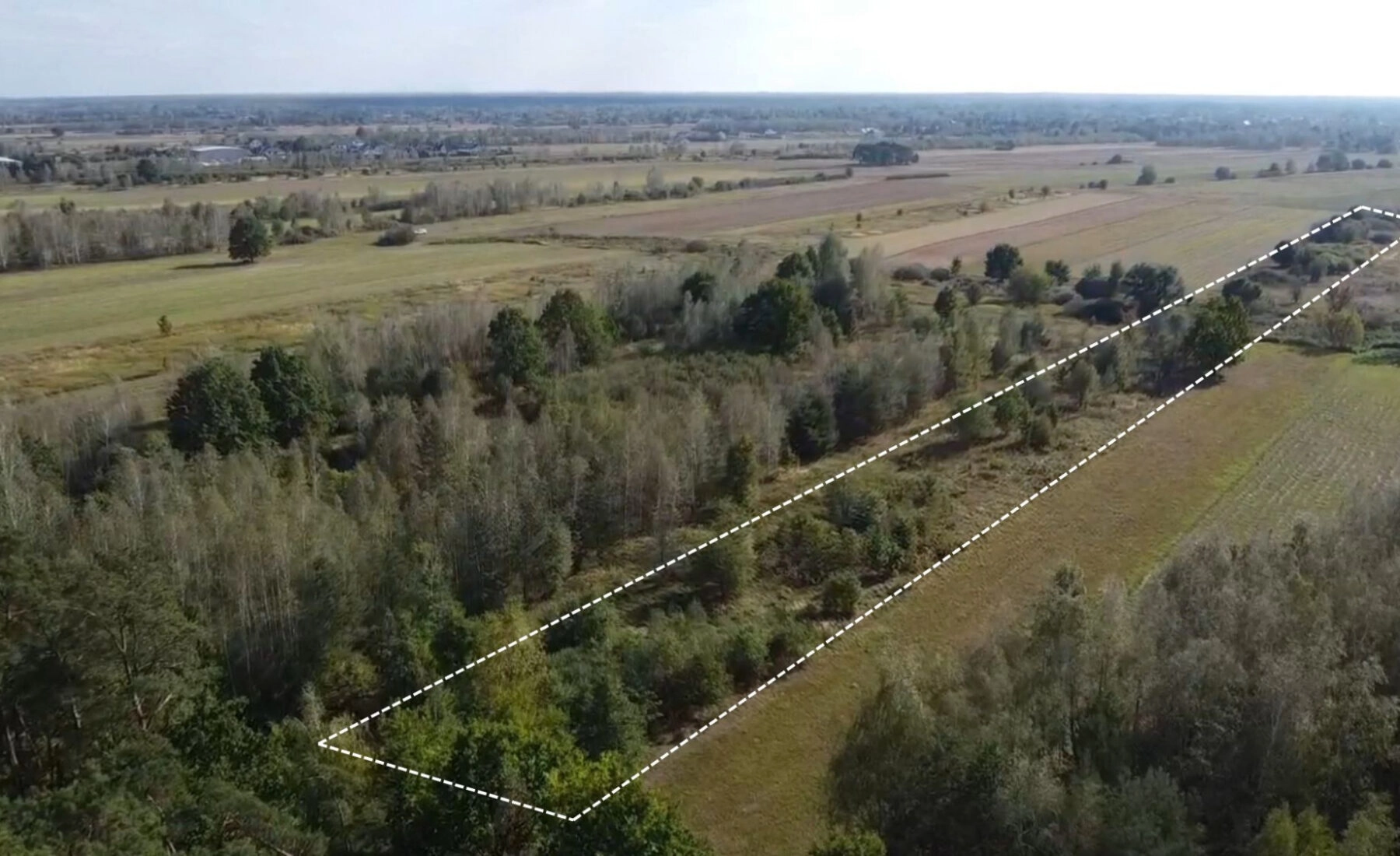 duża działka budowlana + działka rolna | Czosnów