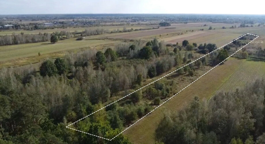 duża działka budowlana + działka rolna | Czosnów