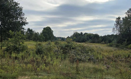 DZIAŁKA BUDOWLANA Z MPZP | 4918 m2