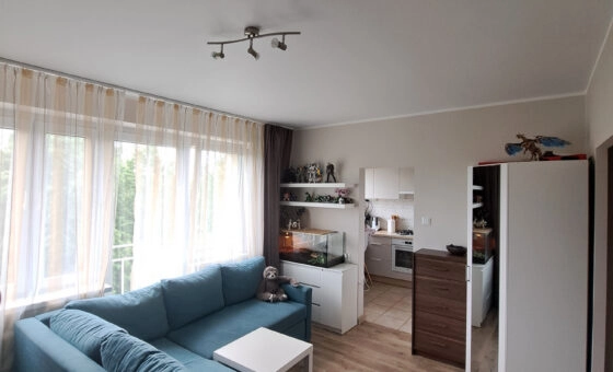 kawalerka 30,90m2 z osobną widną kuchnią! piwnica