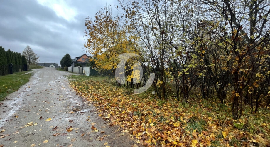 Gowino, ul. Południowa