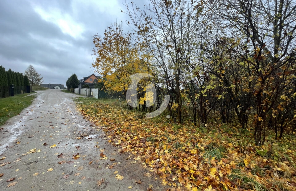 Gowino, ul. Południowa