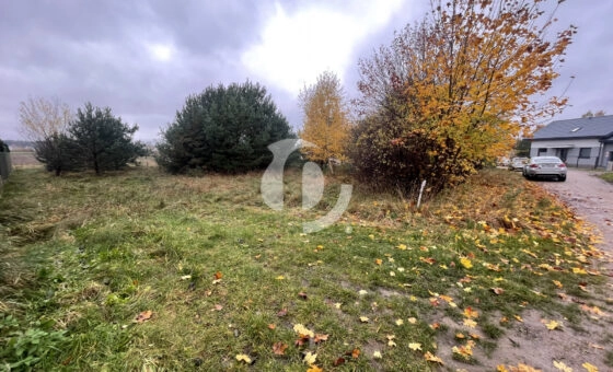 Gowino, ul. Południowa