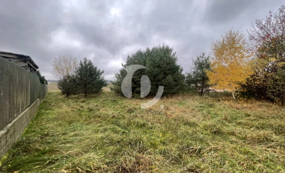 Gowino, ul. Południowa