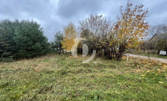 Gowino, ul. Południowa