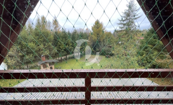 Absolutnie perfekcyjna ucieczka od miasta