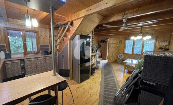 Absolutnie perfekcyjna ucieczka od miasta