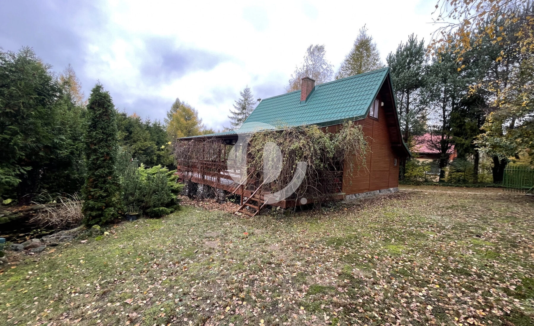 Absolutnie perfekcyjna ucieczka od miasta