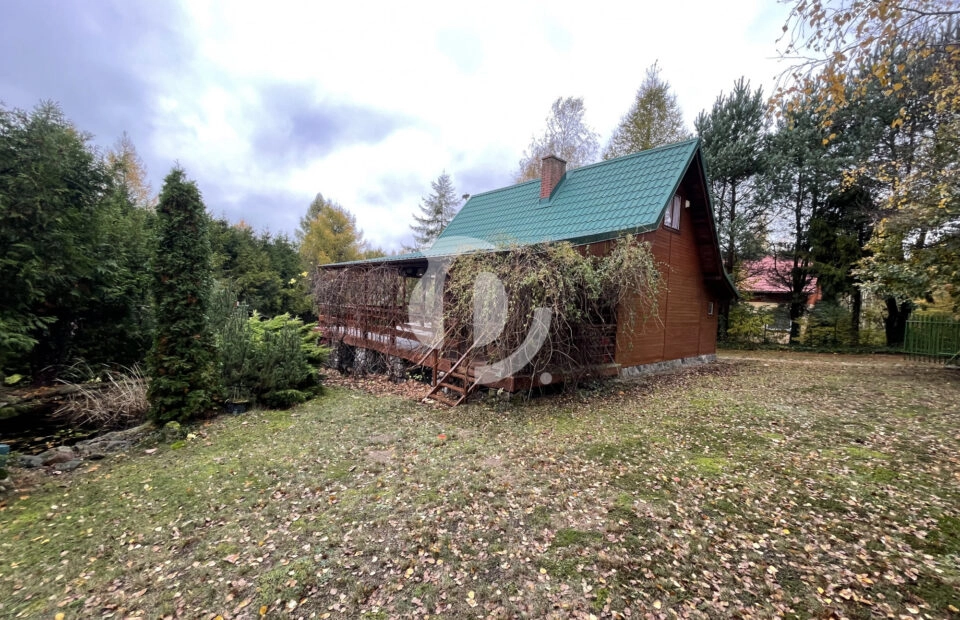 Absolutnie perfekcyjna ucieczka od miasta