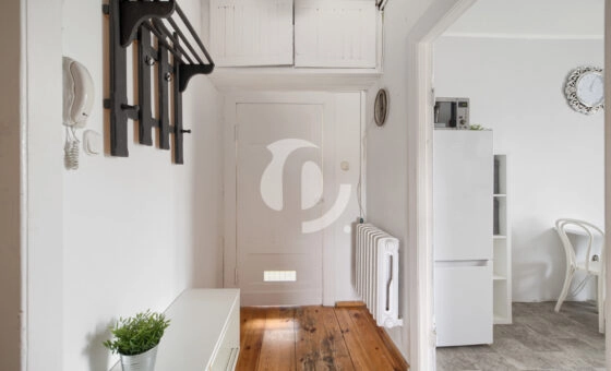 przytulne mieszkanie w sąsiedztwie parku