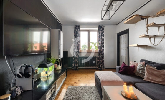 przytulne mieszkanie w sąsiedztwie parku