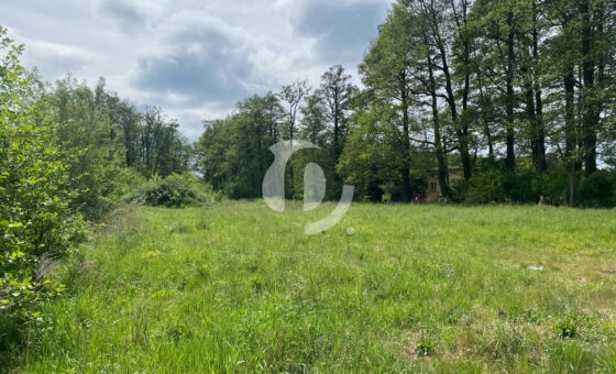 Łódź ul. Rafowa, Stawy Stefańskiego działka 4255 m