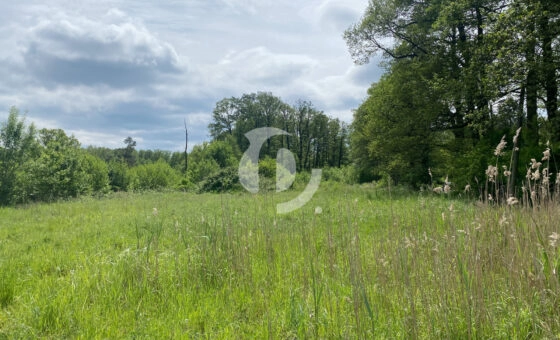 Łódź ul. Rafowa, Stawy Stefańskiego działka 4255 m