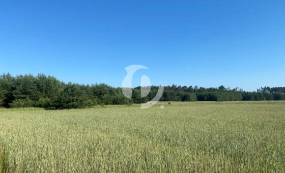 Działka z potencjałem