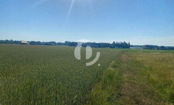 Działka z potencjałem