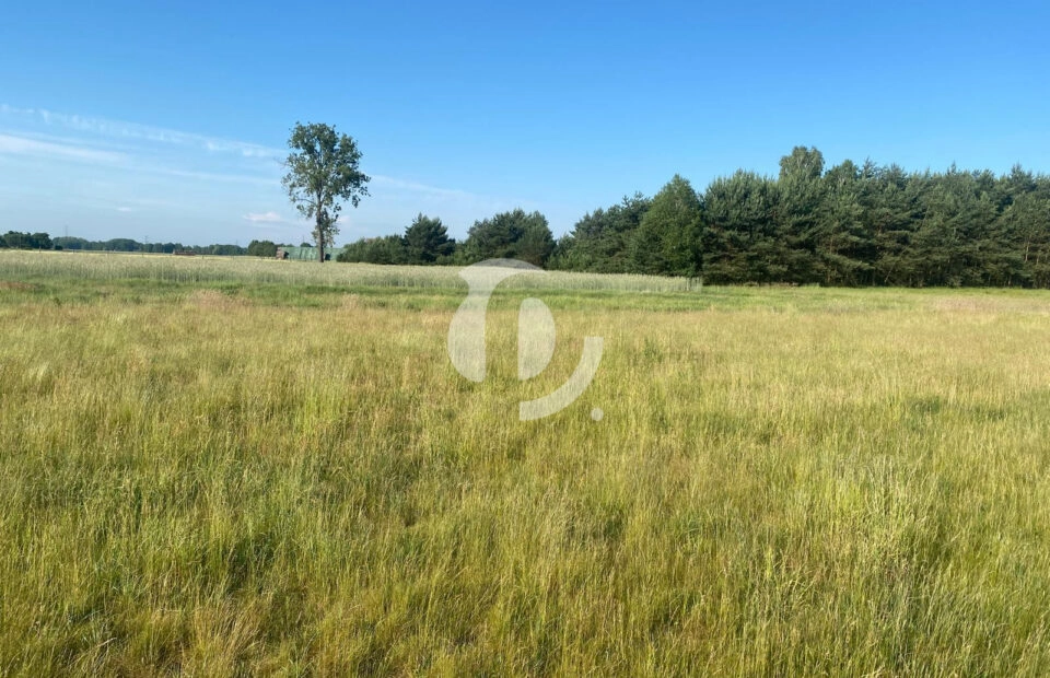 Działka z potencjałem