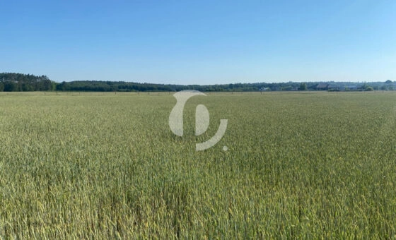 Działka z potencjałem