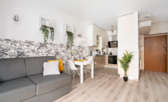 bezczynszowe mieszkanie z fotowoltaiką,