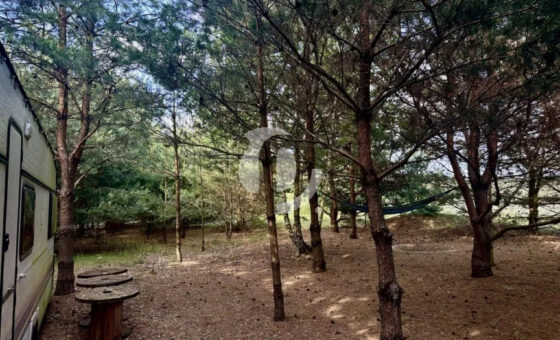 Działka rekreacyjna 1.500 m blisko jeziora