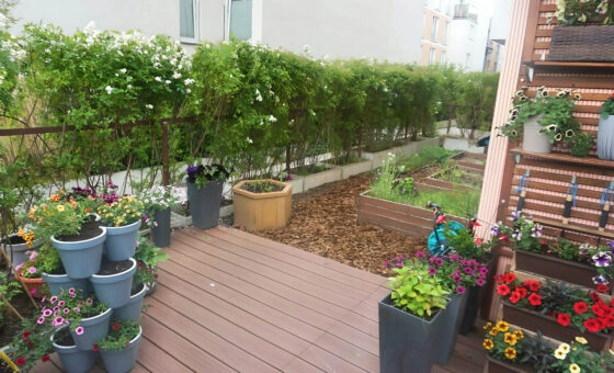 Mieszkanie 2-pokoje cena z  ogród, garaż, komórka