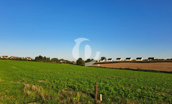 dla dewelopera - blisko Kórnik/s11