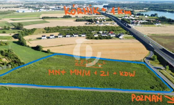 dla dewelopera - blisko Kórnik/s11