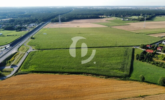 dla dewelopera - blisko Kórnik/s11