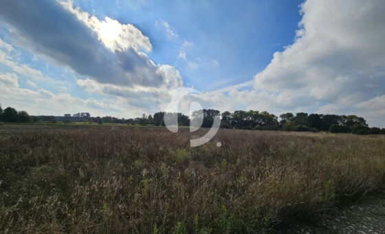 7  działek budowlanych w pięknej i cichej okolicy