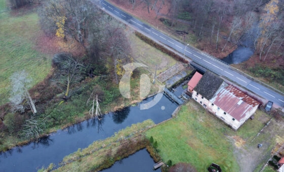 Duża działka z zabudowaniami i MEW, Trzebielino