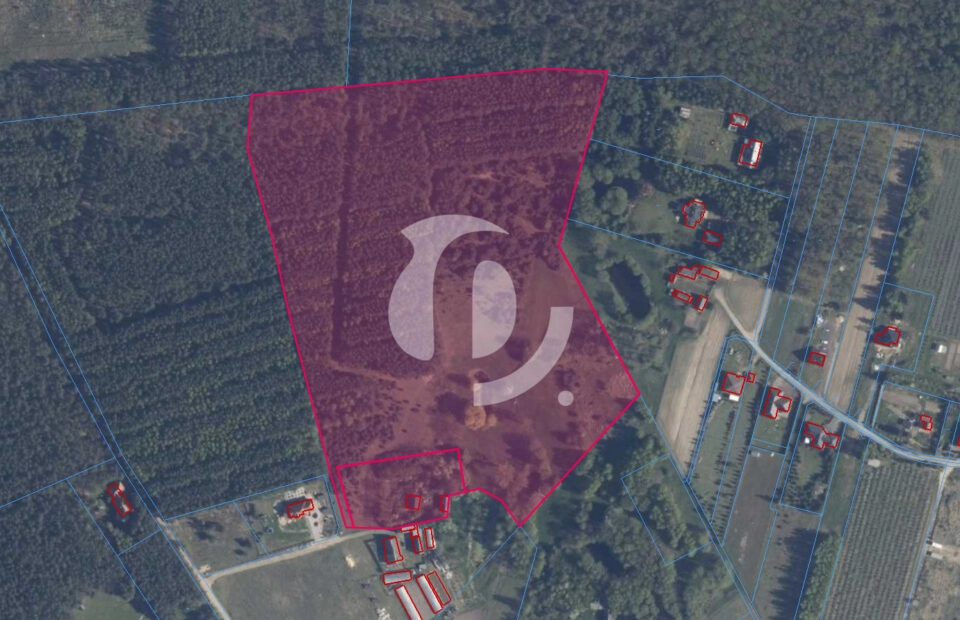 Wyjątkowa działka ponad 7 ha – zalesiona