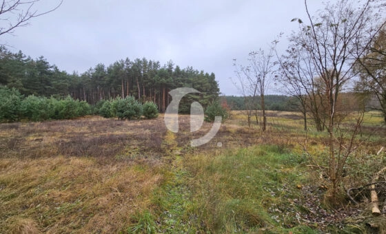 Wyjątkowa działka ponad 7 ha – zalesiona