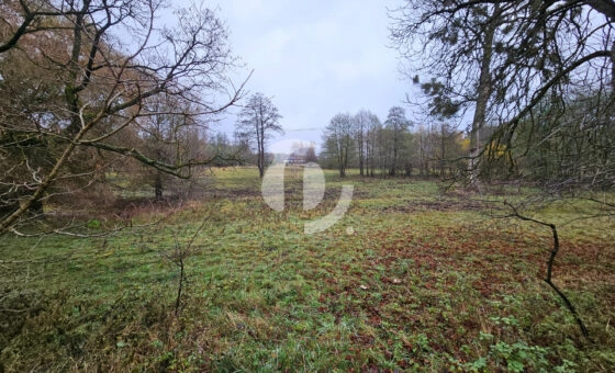 Wyjątkowa działka ponad 7 ha – zalesiona