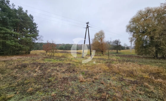 Wyjątkowa działka ponad 7 ha – zalesiona