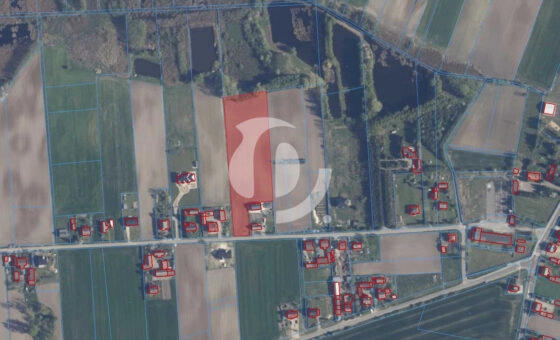 Na sprzedaż działka rolna Grąblin