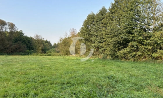 Działka pod zabudowę przemysłową z mpzp pod Mławą