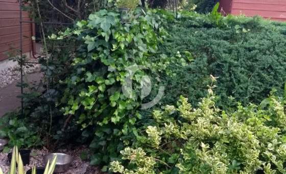 Wyjątkowa nieruchomość w sercu natury!